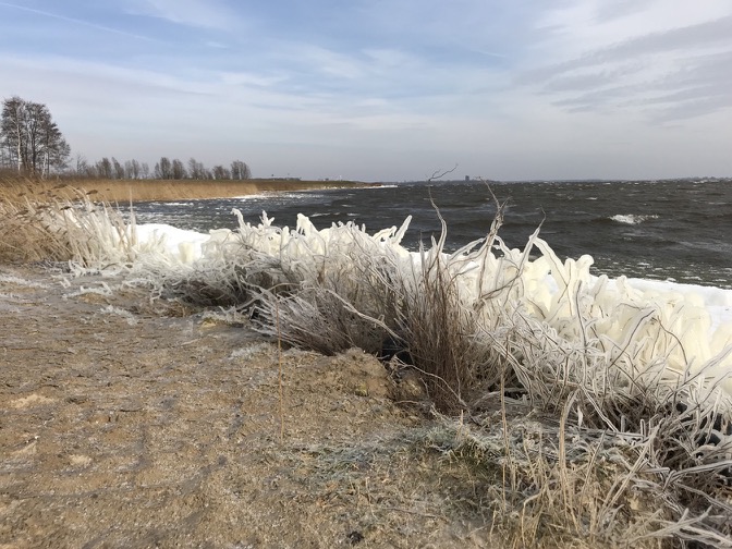 ice